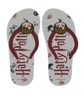 CHANCLAS PREMIUM HARRY POTTER TALLA 30/31