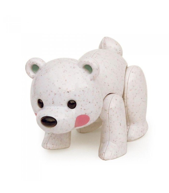Oso Polar