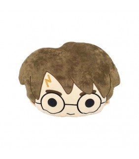 Cojin cara Harry potter 30x40cm