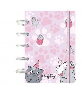 A6 GATOS ROSA