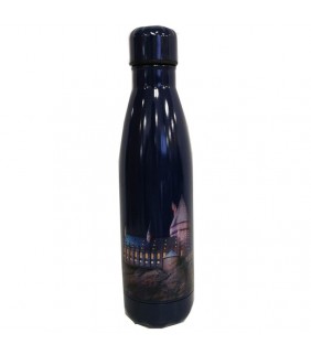 Botella Harry Potter 500ml