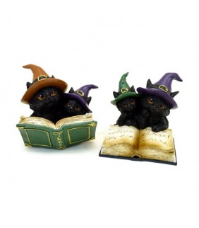 Figura Libro de Hechizos Brujas Gato Negro Travies