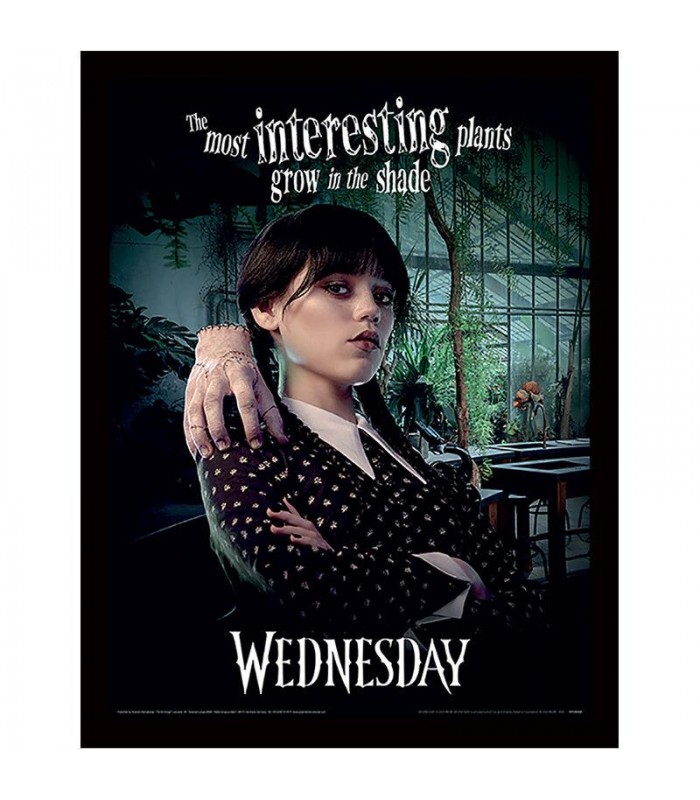 Poster Enmarcado The most interesting Wednesday 