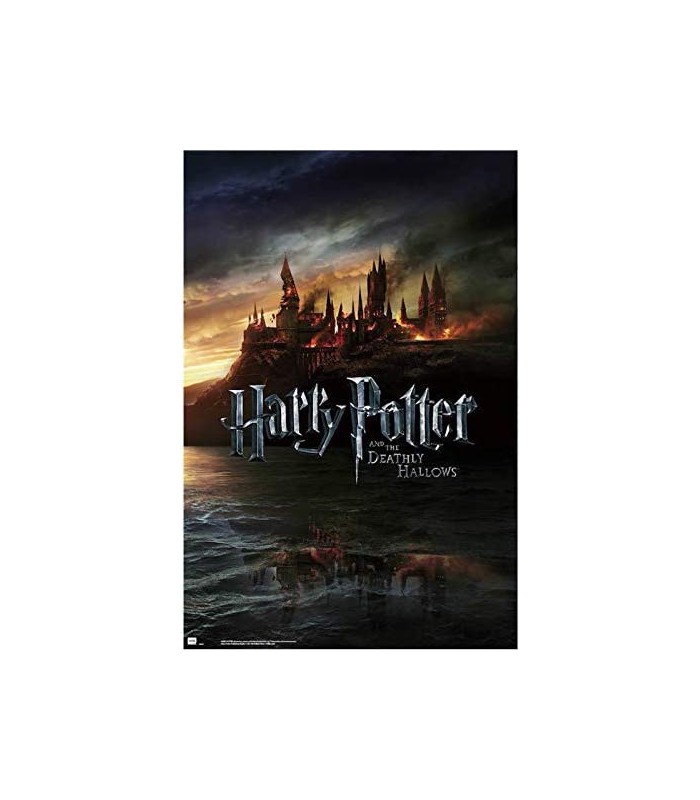 POSTER HARRY POTTER Y LAS RELIQUIAS DE LA MUERTE