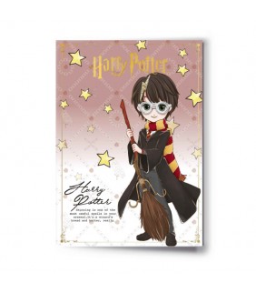 Harry Potter Character Greetings Card with Pinbadg