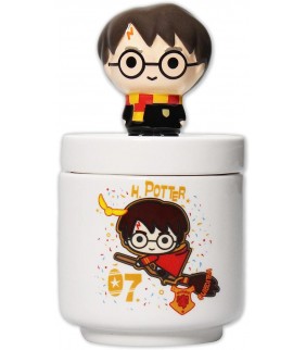 BOTE CERÁMICA CON TAPA 3D HARRY POTTER