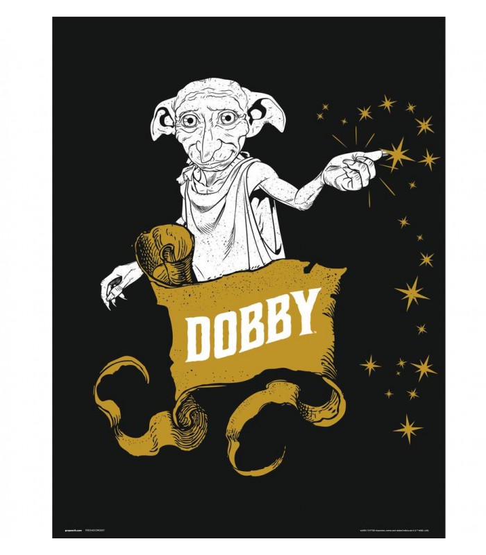 PRINT 30X40CM HARRY POTTER DOBBY