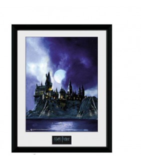 Poster Enmarcado Harry Potter Hogwarts Painted