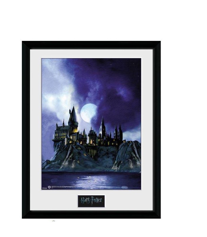 Poster Enmarcado Harry Potter Hogwarts Painted