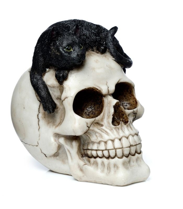 Figura Calavera Calavera Decorativa con Gato Negro