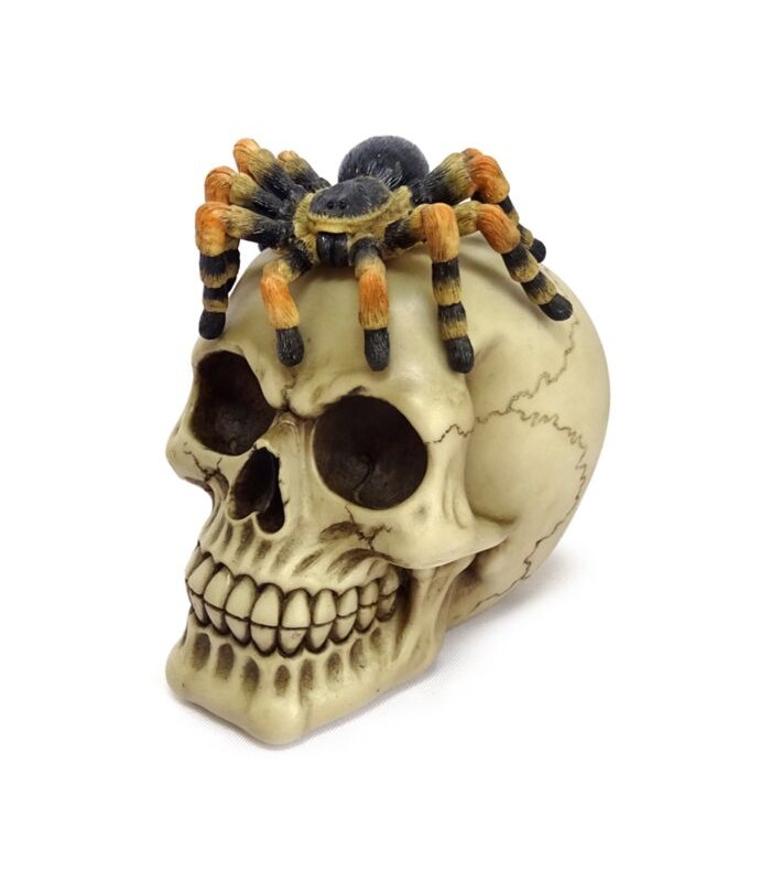 Figura Calavera con Araña