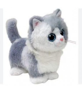 CAT FURLEY